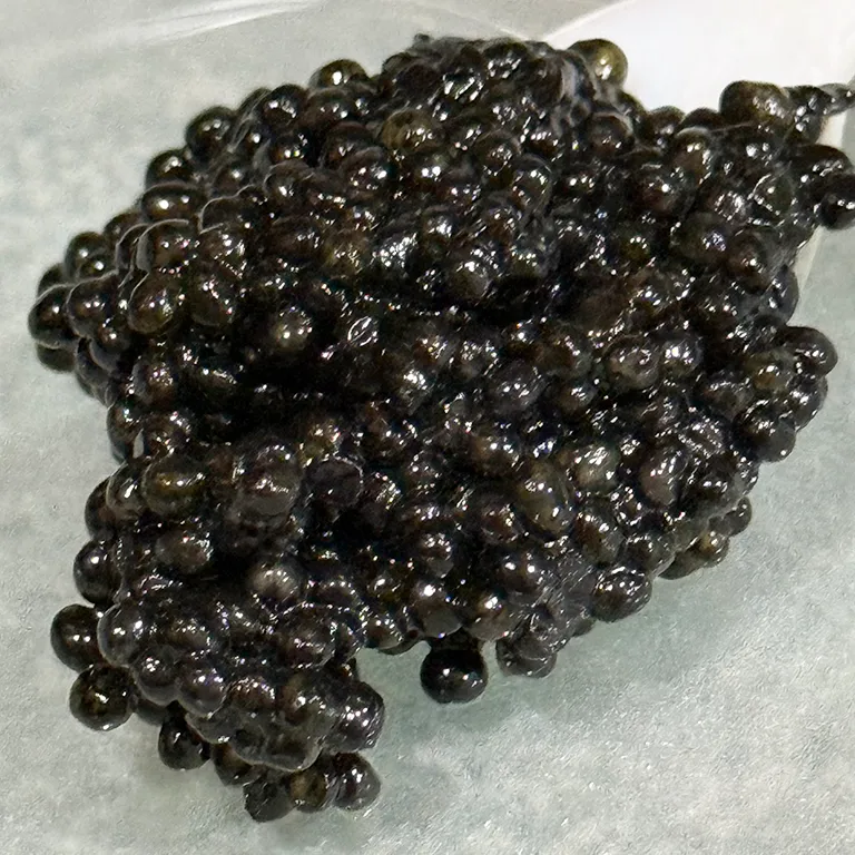 Hackleback Caviar