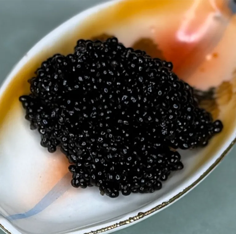 Bowfin Caviar